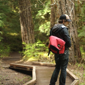 On our way up to Bagby Hot Springs, Brent stops to admire some greenery.