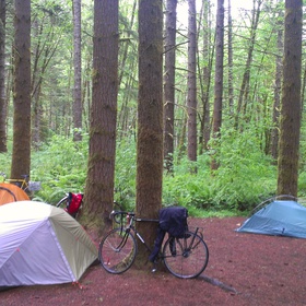 Initially, we had reserved a drive-in campsite, but upon encountering an undesirably open area, we decided to investigate the non-reservable campsites in the hike-in area.  

We were impressed, and re-packed up our things, and hiked down the gravel path to the site (walking our bikes, of course).